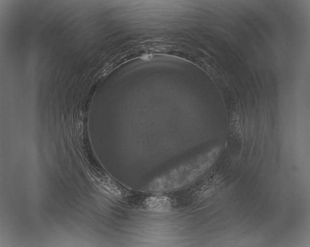 X0000051260271200507011726