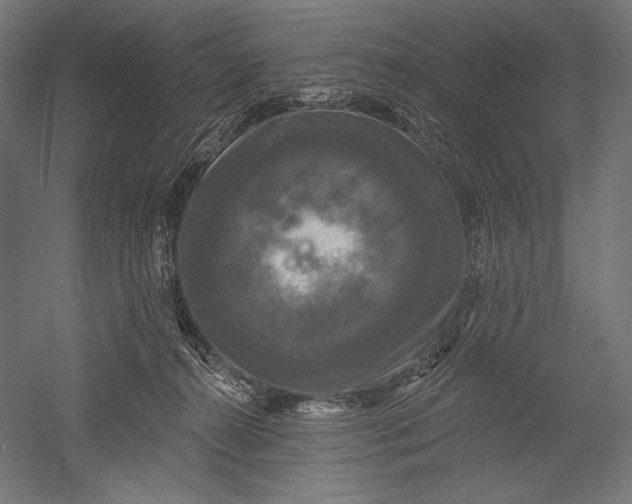 X0000051260272200507011726