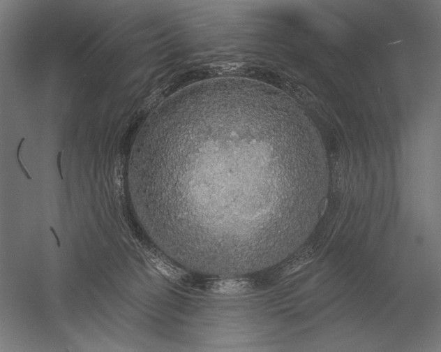 X0000051260274200507011726