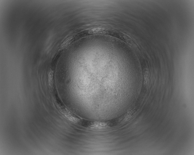 X0000051260278200507011726
