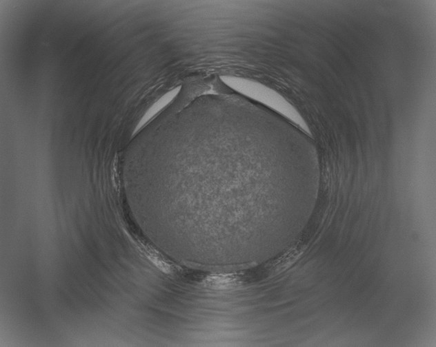 X0000051260280200507011726