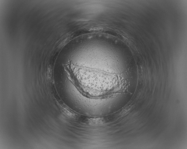 X0000051260281200507011726