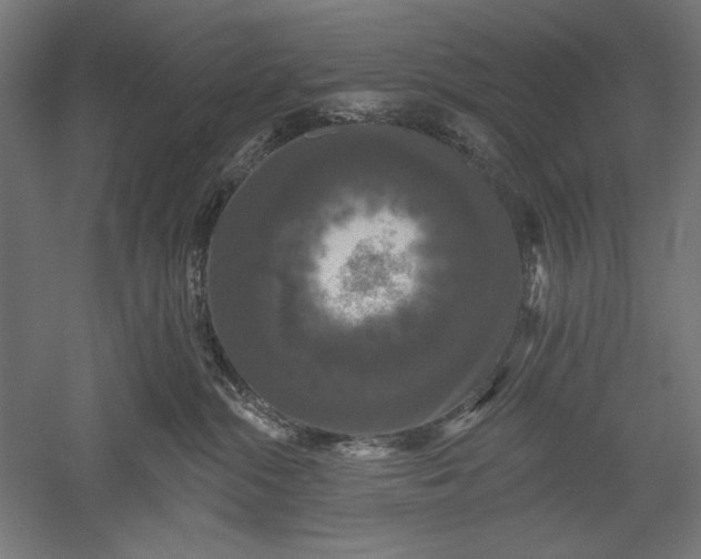 X0000051260284200507011726