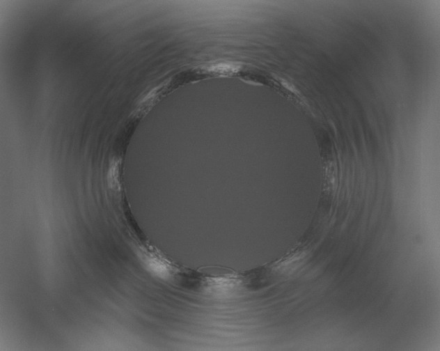 X0000051260286200507011727