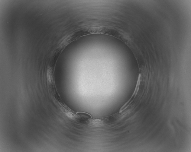 X0000051260287200507011727