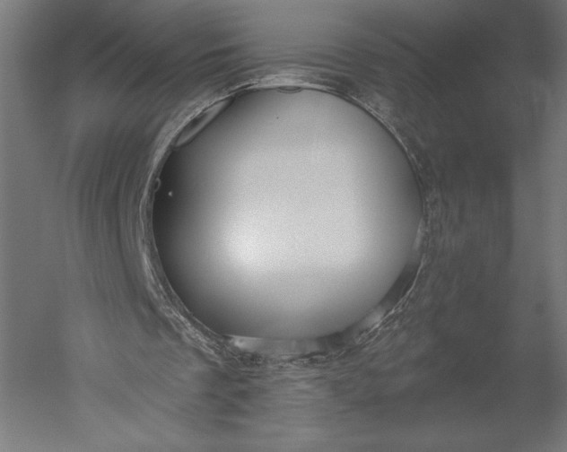 X0000051260289200507011726