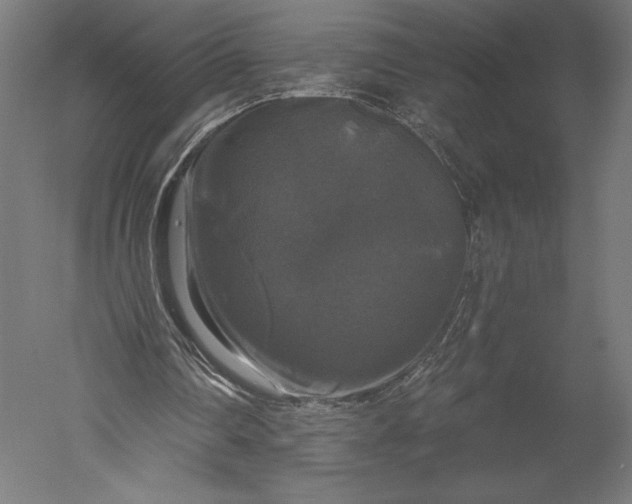 X0000051260290200507011726