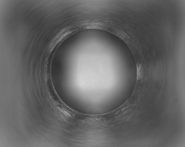 X0000051260291200507011726
