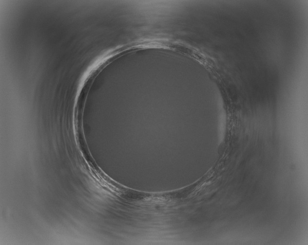 X0000051260294200507011726