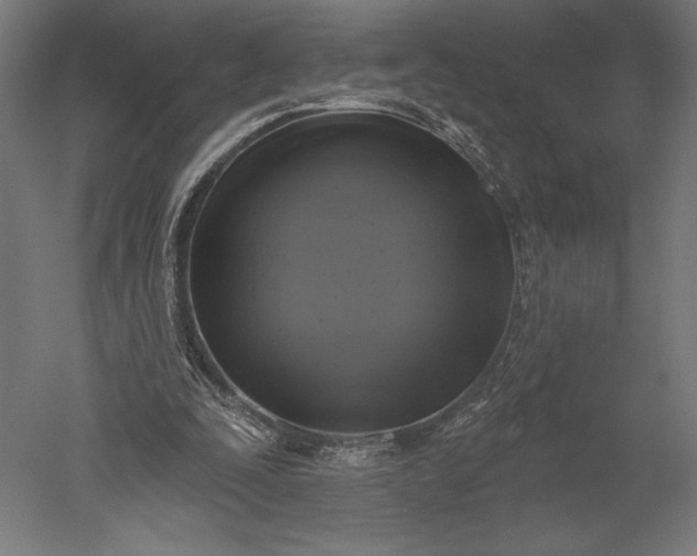 X0000051260295200507011726