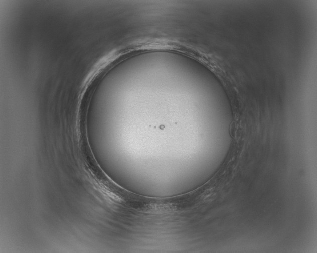 X0000051260296200507011726