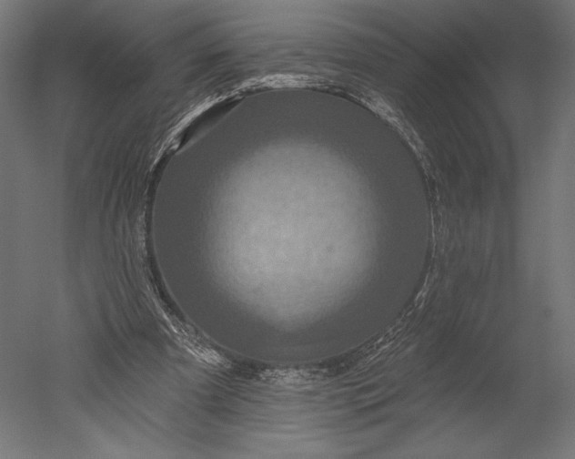 X0000051260297200507011726
