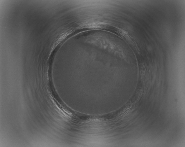 X0000051260299200507011726