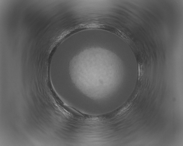 X0000051260301200507011726