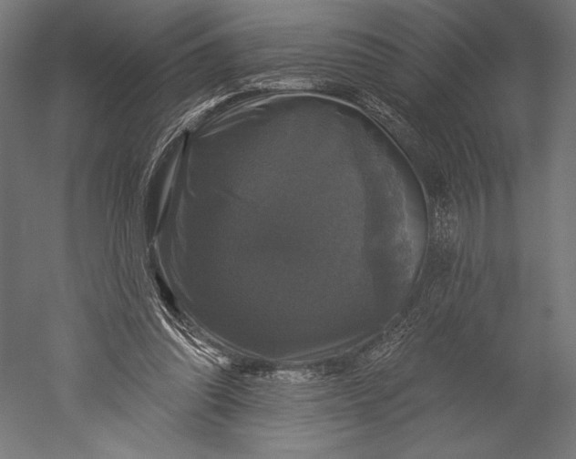 X0000051260302200507011726