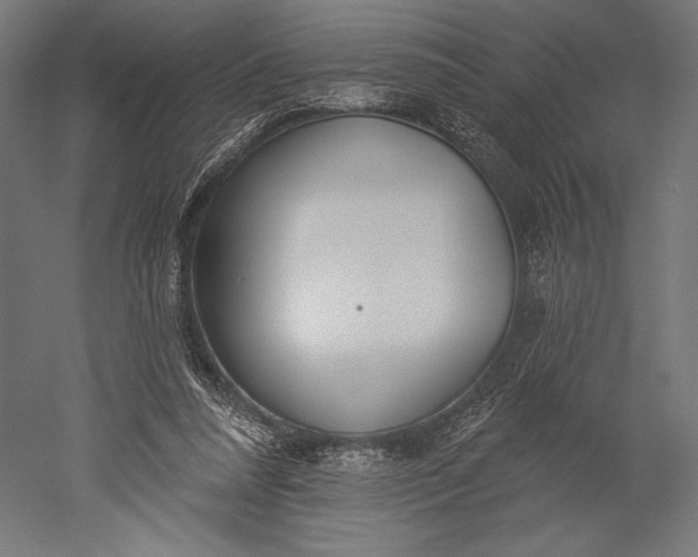 X0000051260304200507011725