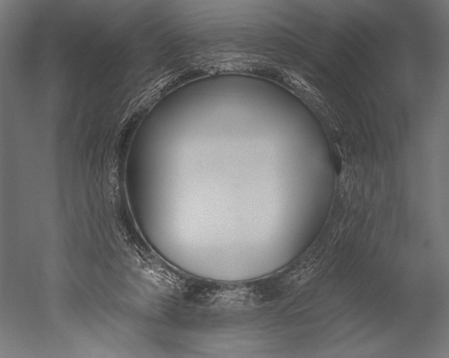 X0000051260306200507011725