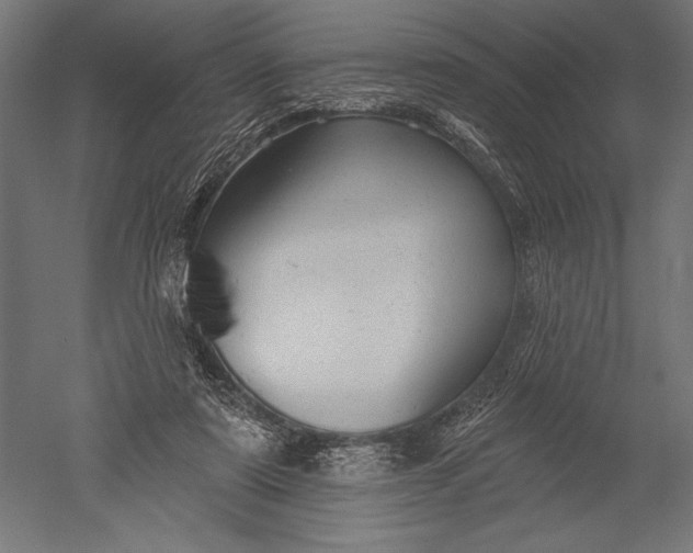 X0000051260307200507011725