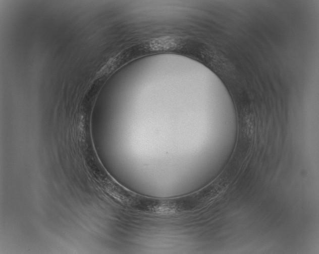 X0000051260308200507011725