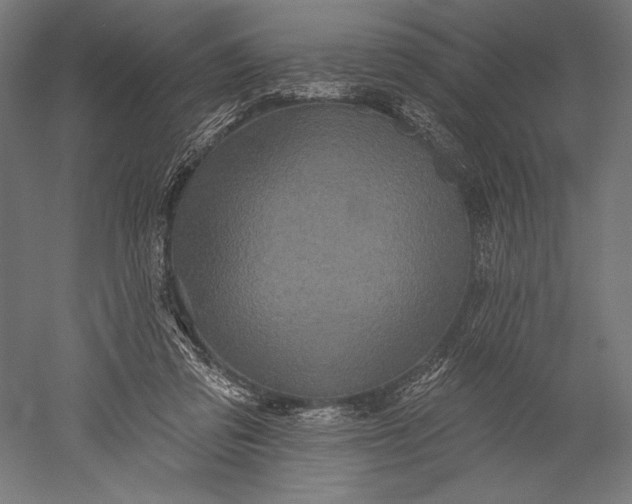 X0000051260309200507011725