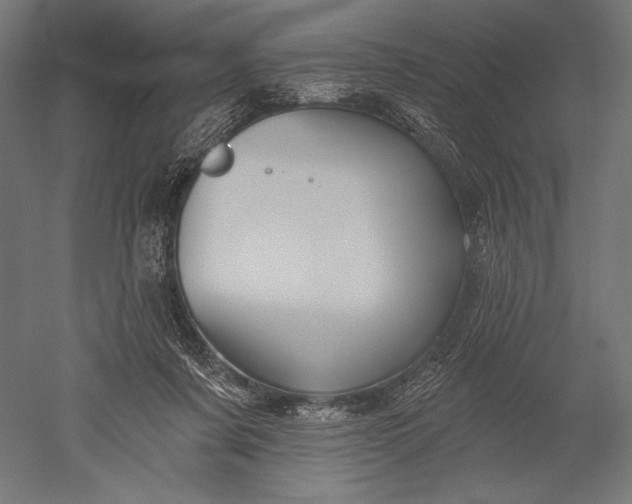 X0000051260311200507011725