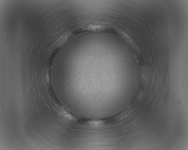 X0000051260313200507011725