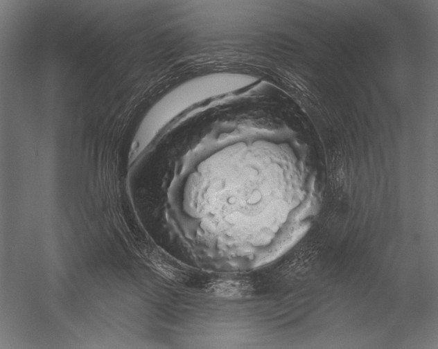 X0000051260315200507011725