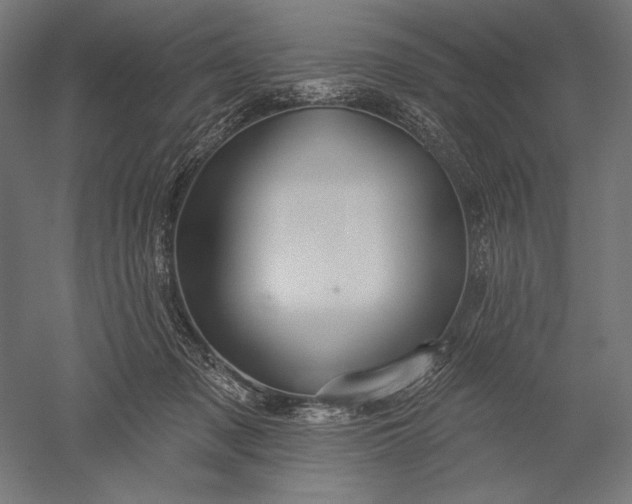 X0000051260317200507011725