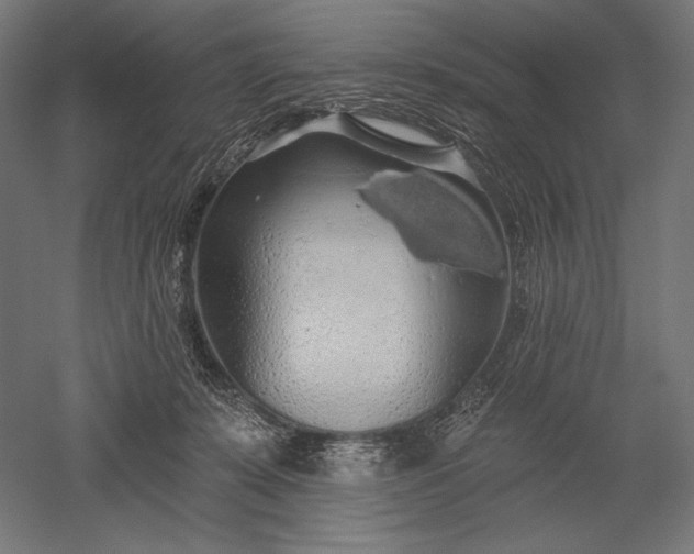 X0000051260319200507011725