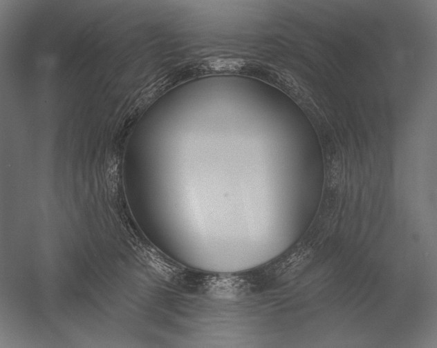 X0000051260321200507011725