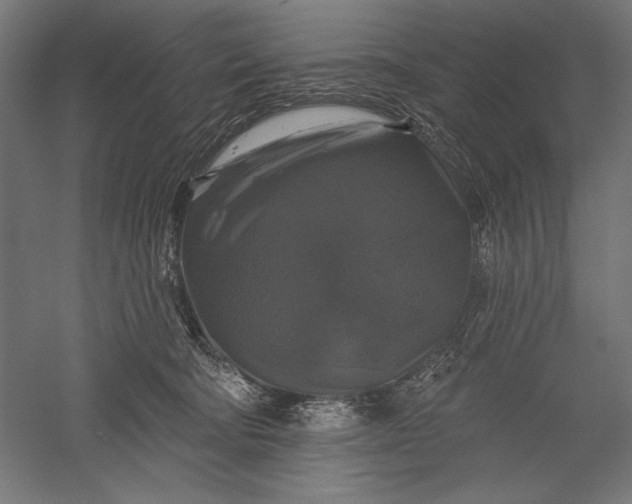 X0000051260322200507011725