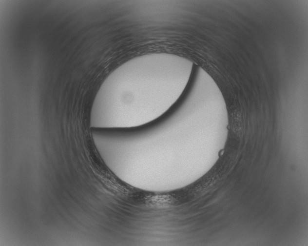 X0000051260324200507011725