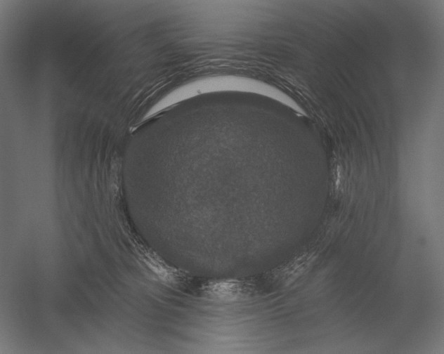 X0000051260325200507011725