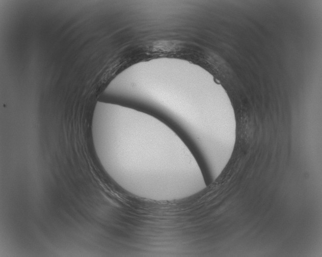 X0000051260328200507011725