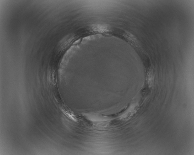 X0000051260330200507011725