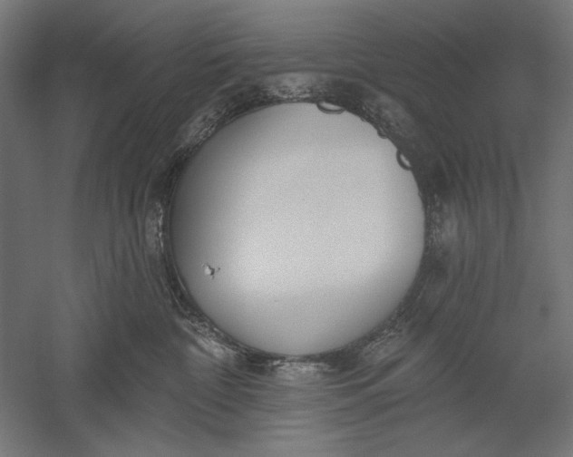 X0000051260332200507011725