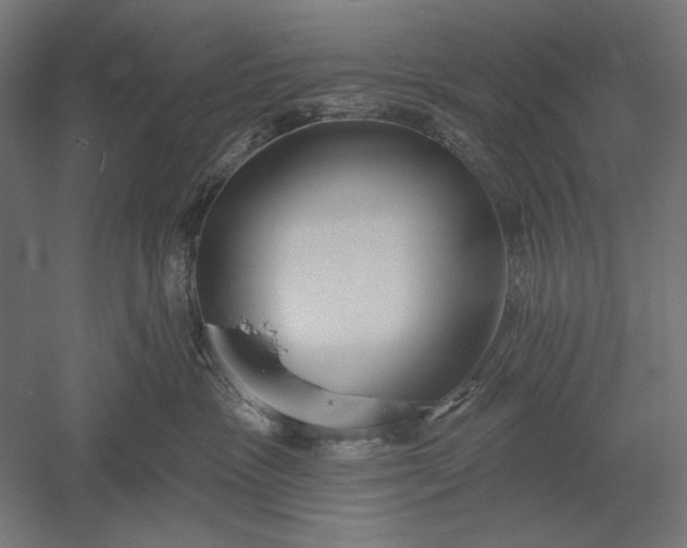 X0000051260333200507011725