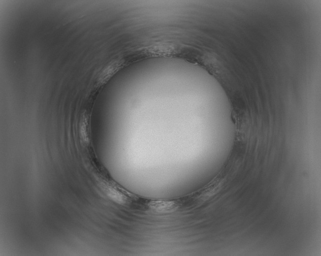 X0000051260334200507011725