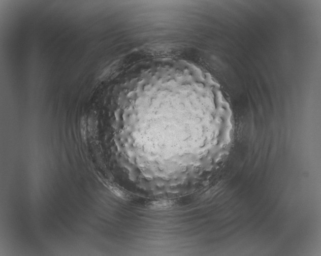 X0000051260335200507011725