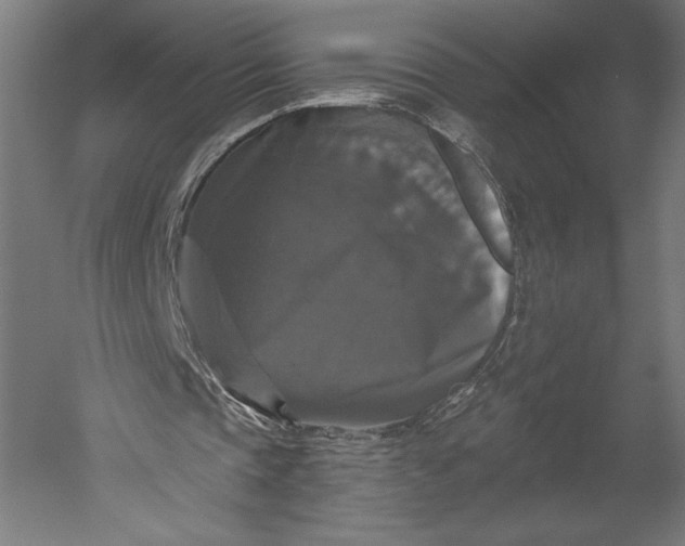X0000051260337200507011724