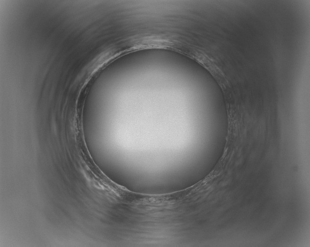 X0000051260338200507011724