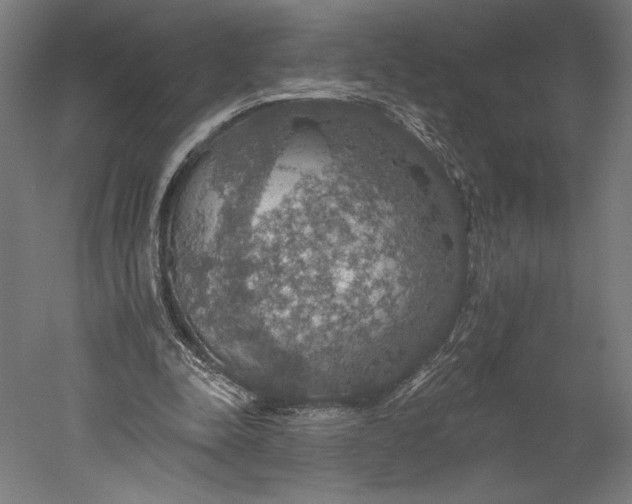 X0000051260342200507011724