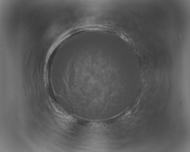 X0000051260343200507011724