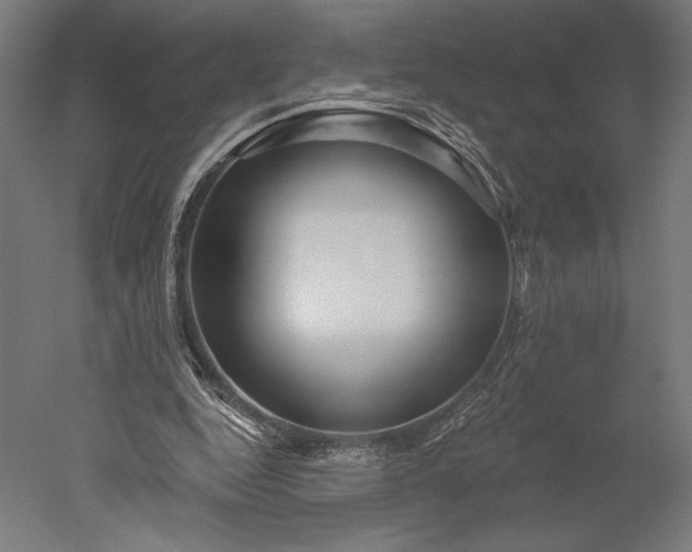 X0000051260344200507011724