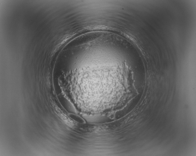 X0000051260345200507011724
