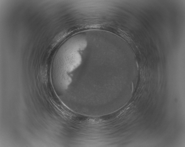 X0000051260346200507011724