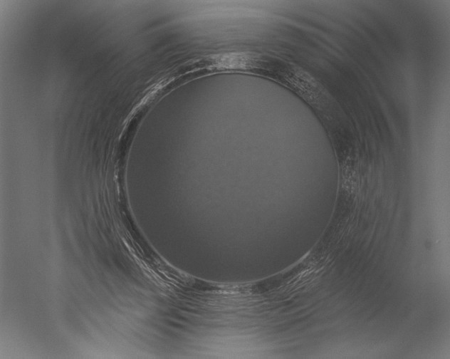 X0000051260347200507011724