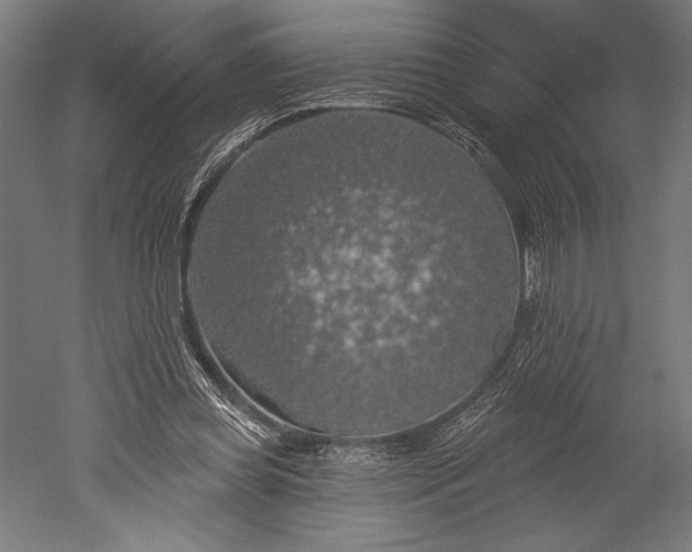 X0000051260349200507011724