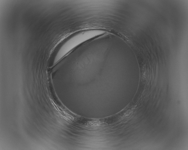 X0000051260351200507011724