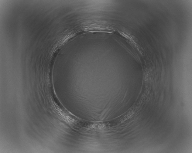 X0000051260353200507011724